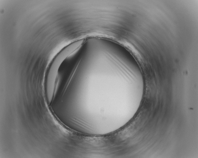 X0000088360902200706121052