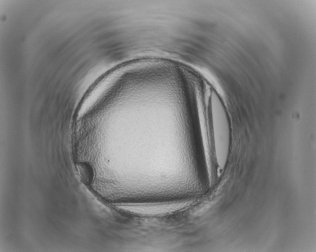 X0000088360903200706121052