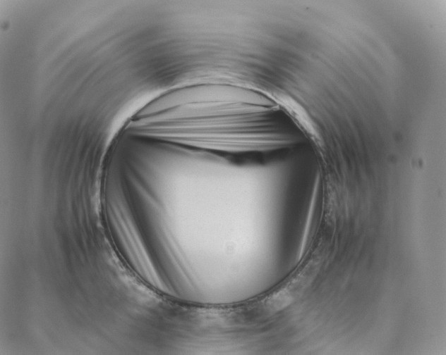 X0000088360904200706121052