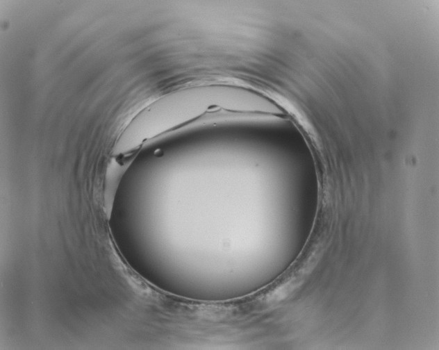 X0000088360905200706121052