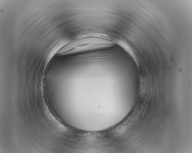 X0000088360906200706121052