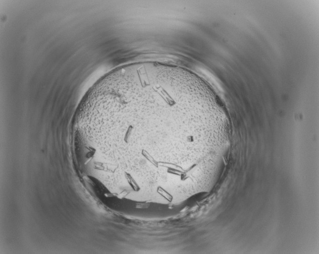 X0000088360907200706121052