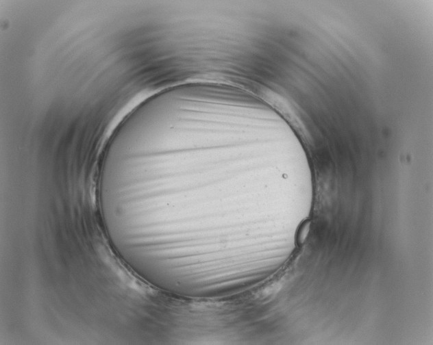 X0000088360908200706121052