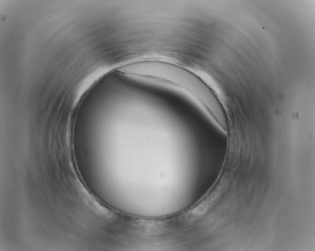 X0000088360910200706121052