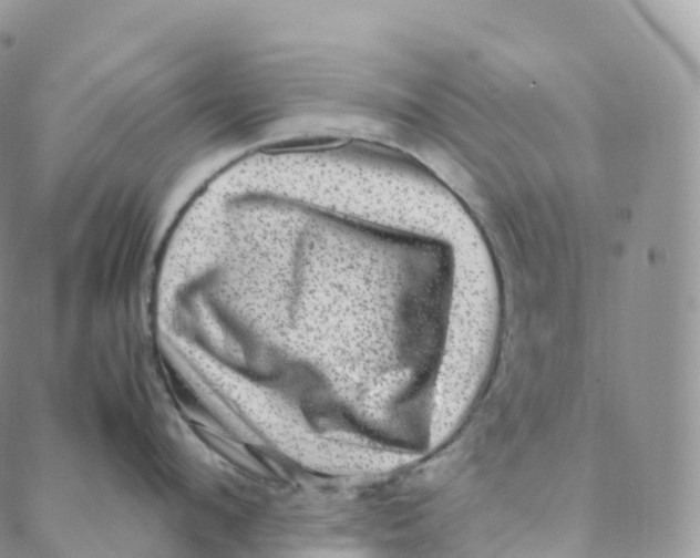 X0000088360912200706121052