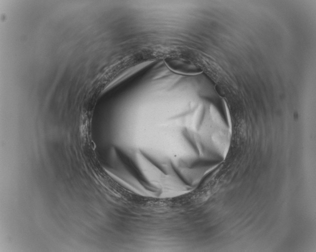 X0000088360914200706121051