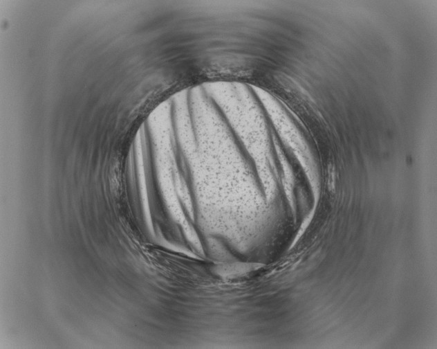 X0000088360915200706121051