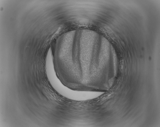 X0000088360916200706121051