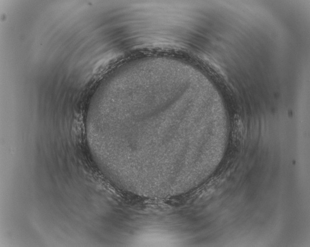 X0000088360918200706121051