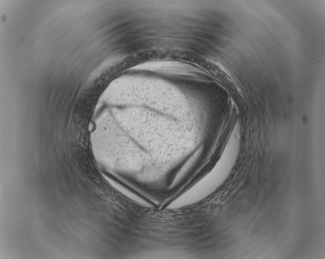 X0000088360919200706121051