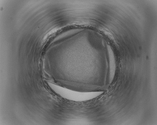 X0000088360920200706121051