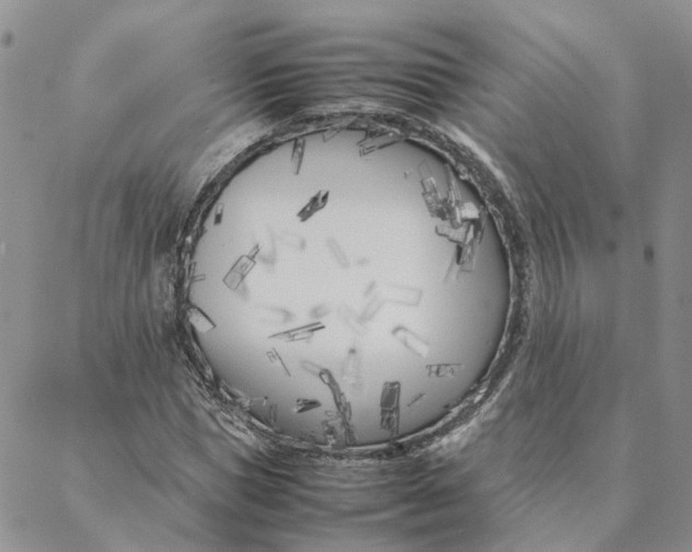 X0000088360921200706121051