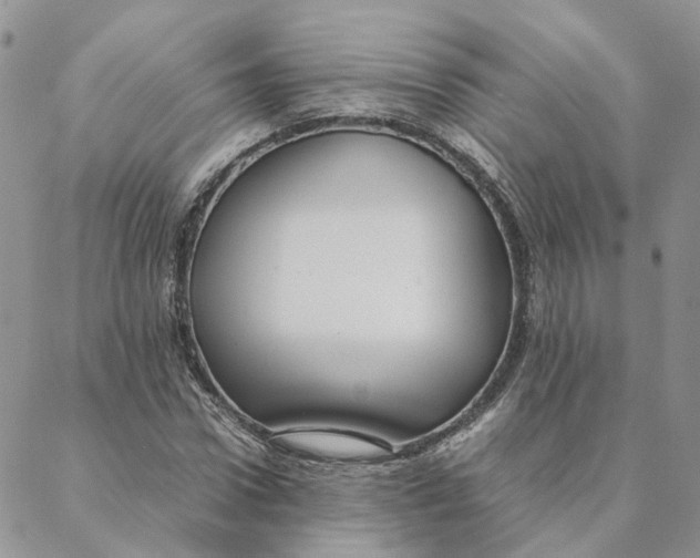 X0000088360922200706121051