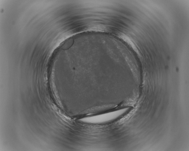 X0000088360923200706121051