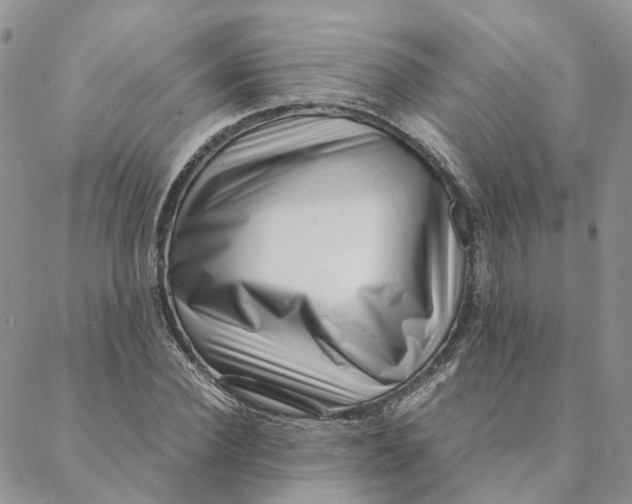 X0000088360924200706121051