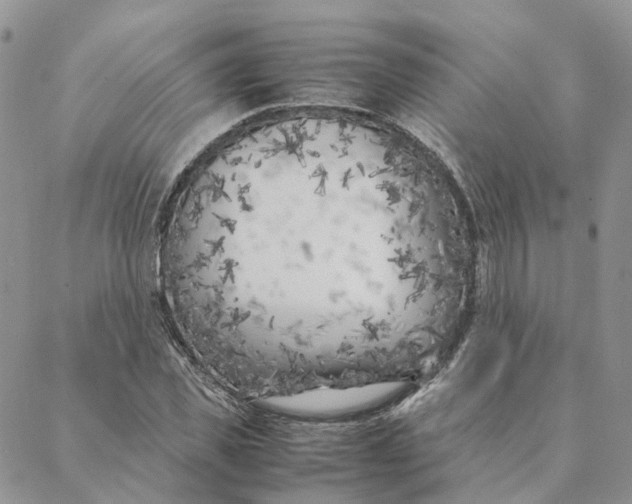 X0000088360925200706121051