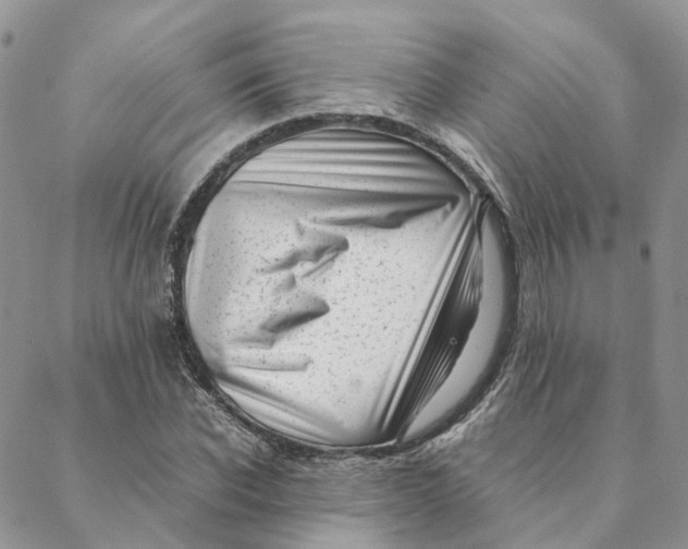 X0000088360926200706121051