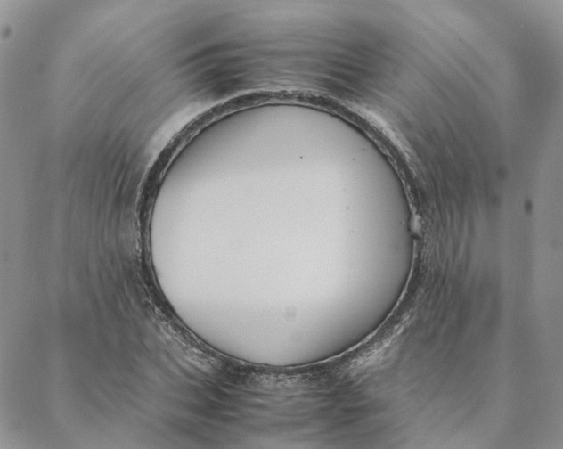 X0000088360927200706121051