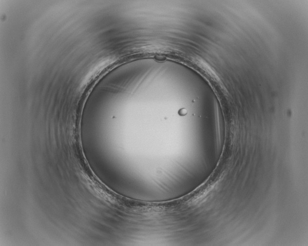 X0000088360930200706121051