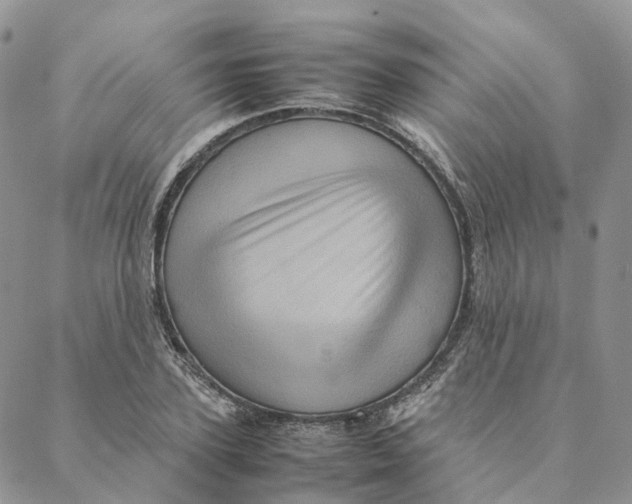 X0000088360931200706121051