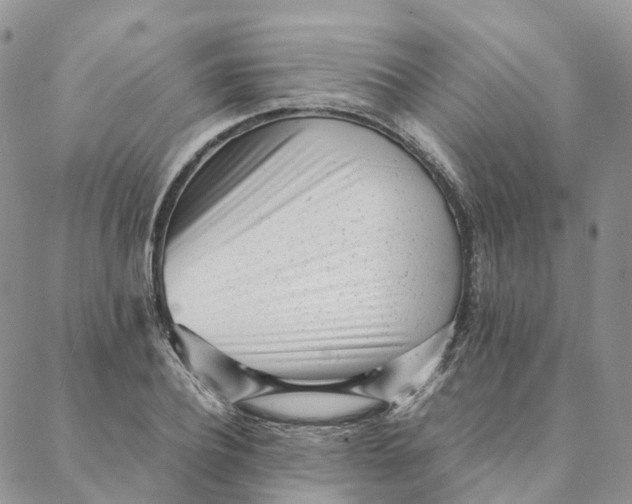 X0000088360932200706121051