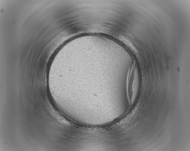 X0000088360934200706121051