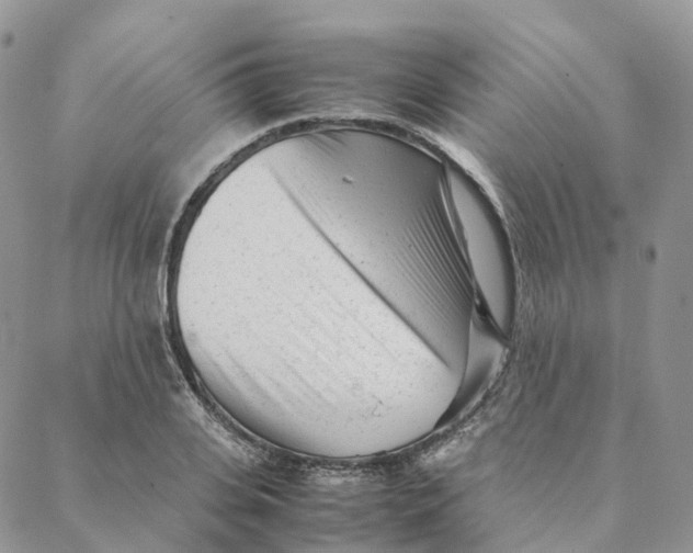 X0000088360935200706121051