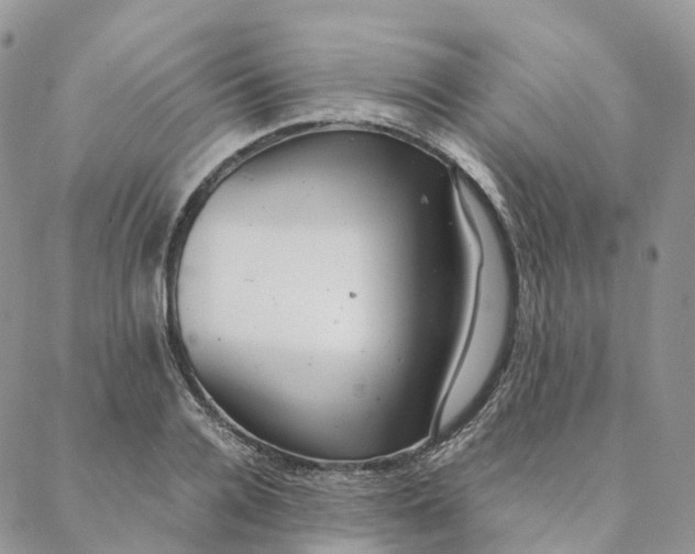 X0000088360936200706121051