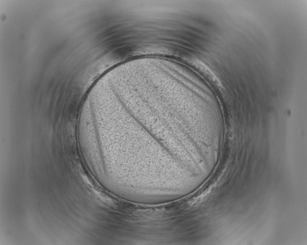 X0000088360937200706121051