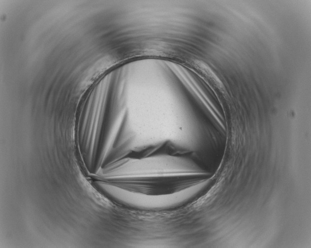 X0000088360938200706121051