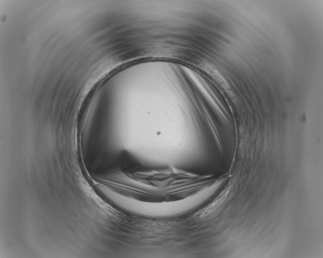 X0000088360939200706121051