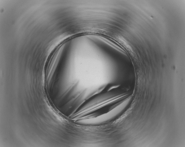 X0000088360940200706121051