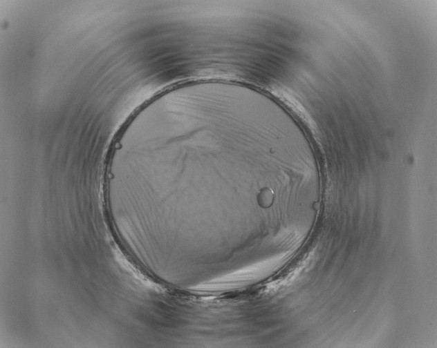 X0000088360941200706121051