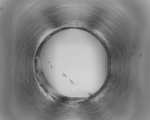 X0000088360942200706121051