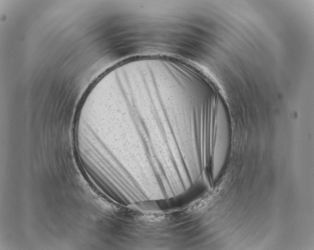 X0000088360943200706121051