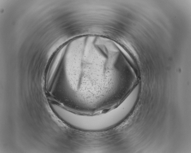 X0000088360944200706121051