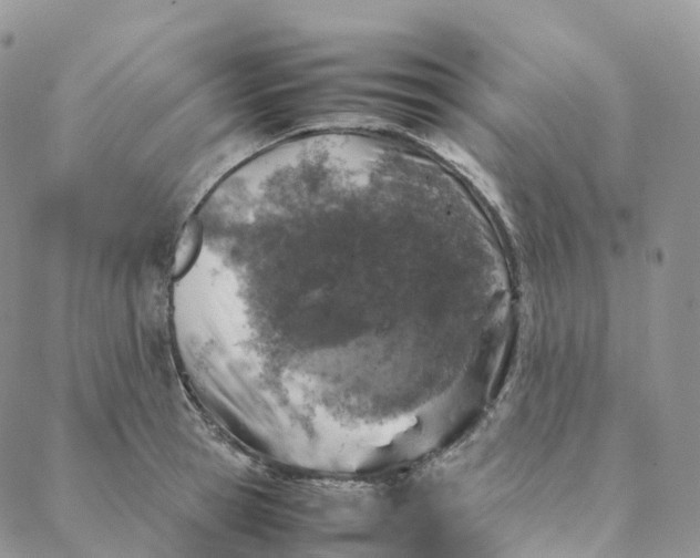 X0000088360945200706121051