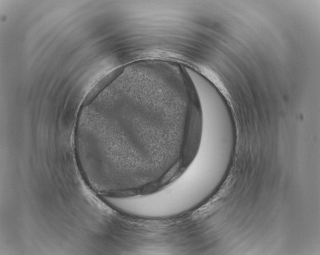 X0000088360946200706121052