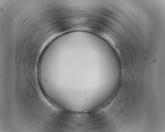 X0000088360947200706121052