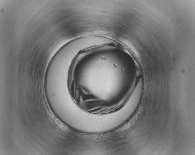 X0000088360948200706121052