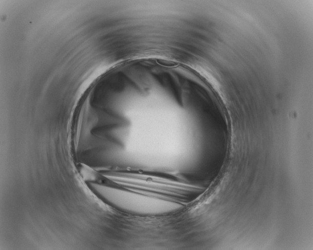 X0000088360949200706121052