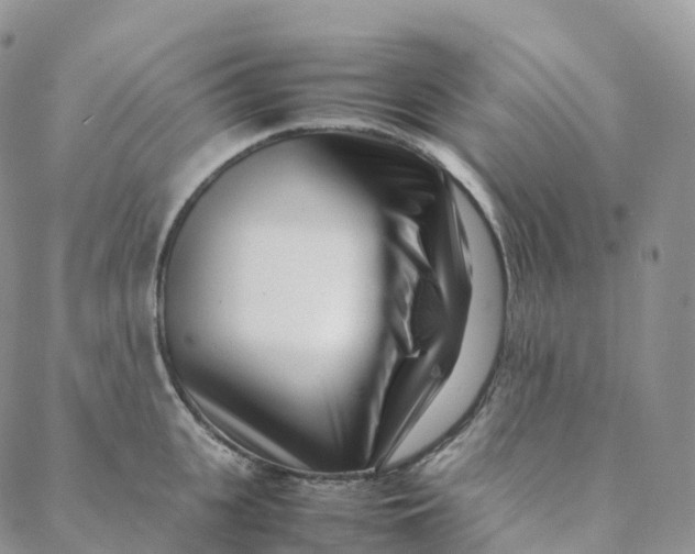 X0000088360951200706121052