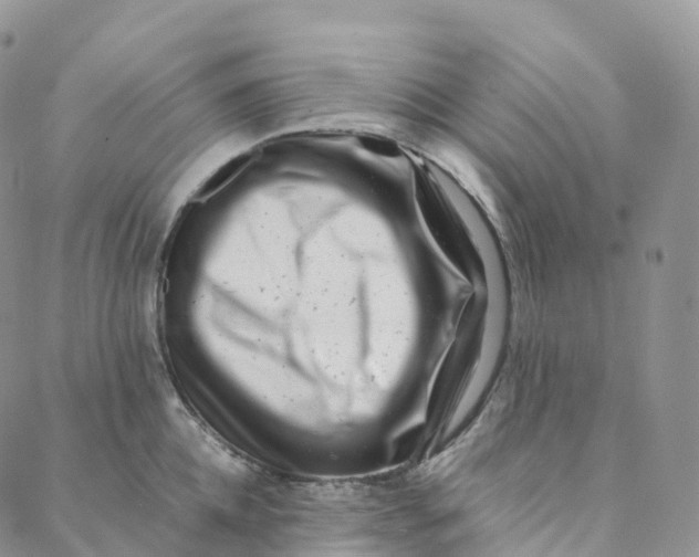 X0000088360952200706121052