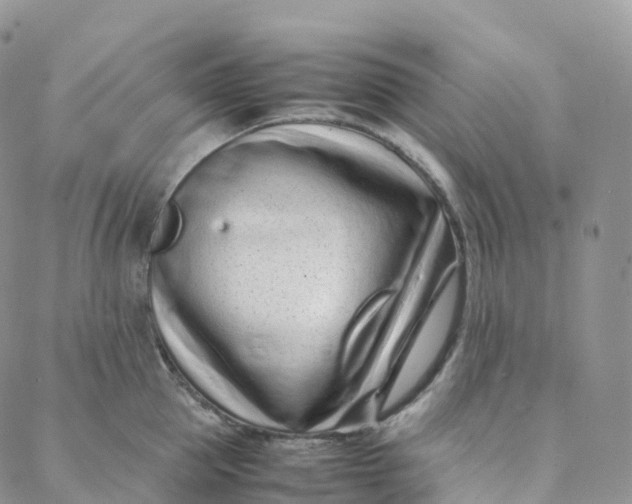 X0000088360953200706121052