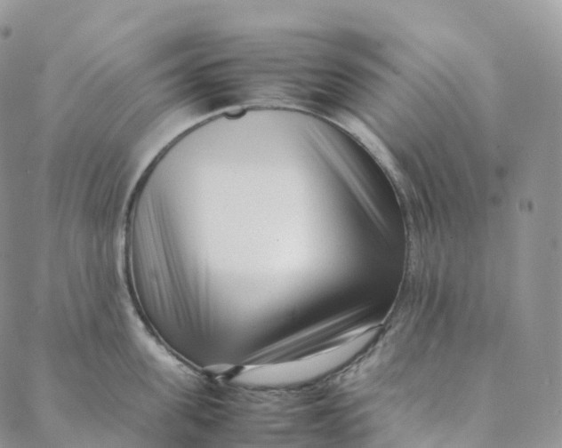 X0000088360955200706121052