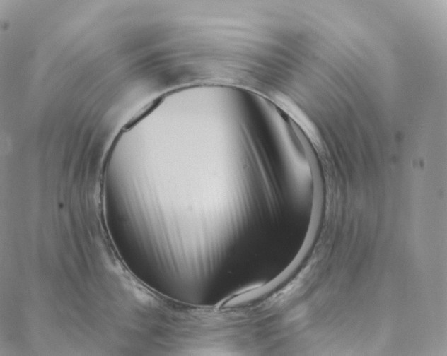 X0000088360956200706121052