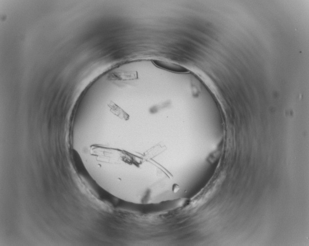 X0000088360957200706121052