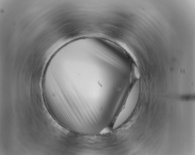 X0000088360959200706121052