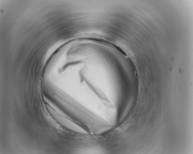 X0000088360960200706121052