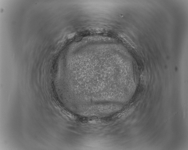 X0000088360961200706121051